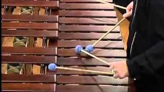 Marimba concerto quotCorridorsquot by Slavko Shuklar Performed by Nebojsa Zivkovic [upl. by Dachi]