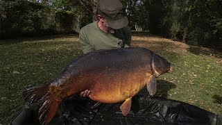 Carp fishing  Pascals Goncourt Oct 2023 [upl. by Gunther]