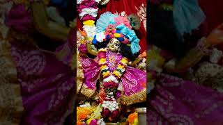 Radha Ki Mahima Aur Puja  Premanand Ka Katha  premanand premanandjimaharaj vedonmevigyan [upl. by Dragde]