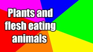 Herbivores carnivores and omnivores  Animals and their food  Eating habits of animals herbivores [upl. by Daney70]