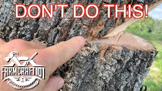 No Nonsense Guide to Tree Felling How to cut down a tree safely FarmCraft101 [upl. by Anahsirk782]