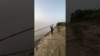 Biggest hilsa fish catching reels [upl. by Steddman]