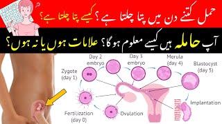 How To Know You Are Pregnant Pregnancy Ka Kaise Pata Chalta Hai  Pregnancy test  implantation [upl. by Maynord595]