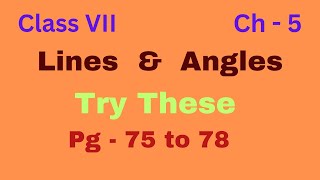 Lines amp Angles  Class 7  Ch 5  Solution of Try These [upl. by Berni271]