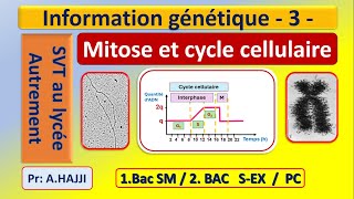 Mitose et cycle cellulaire [upl. by Sollie387]