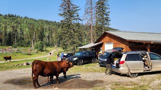 HipCamp Cabin camping2023 at Kananaskis Alberta Canada 🇨🇦 [upl. by Lelia]