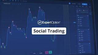 Social Trading  Trading Education  ExpertOption [upl. by Akilaz917]