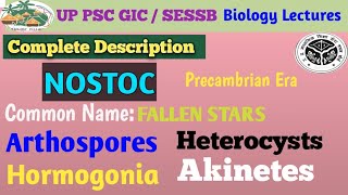 NOSTOC A CYANOBACTERIABGA Structure Life Cycle [upl. by Ikaz]