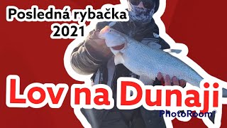 Trolling na Dunaji amp Lov na živú rybku Posledná rybačka 2021pikefishing perch Asp aspiusaspius [upl. by Sacram]