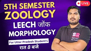 Lt19 Leech Morphology  5th Semester Zoology Paper  01  Sumit Rana Sir [upl. by Twitt]