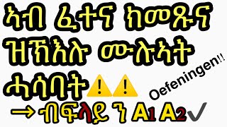 Nederlands  Tigrigna  zinnen oefeningen  vooral voor A1 en A2 ሓኤ 33 [upl. by Eelyrehc]