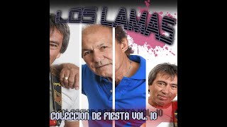 Los Lamas  Colección de fiesta Vol 10  DISCO COMPLETO [upl. by Neelyhtak]