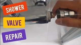 How to replace Pressure Balancing Valve or cartridge for Grohe  how to fix shower faucet leak [upl. by Backler]