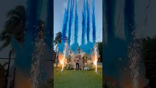 The best gender reveal in the world🌎🎉🎉 genderrevealideas genderrevealideas [upl. by Secundas]