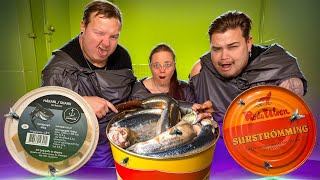 Mädätetty hainliha Hakarl vs Surströmming Testi ftNigidieats ampBuli [upl. by Liban]