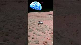 How Earth would look from other planets in our solar system science facts spacescience [upl. by Lalage356]