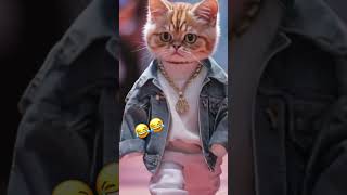 😂😂 cats catshorts catslove fun funny funnymemes viralvideo cute [upl. by Sura]