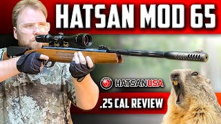 Hatsan MOD 65 Break Barrel Air Rifle REVIEW Accuracy and Shooting Test [upl. by Karilynn]