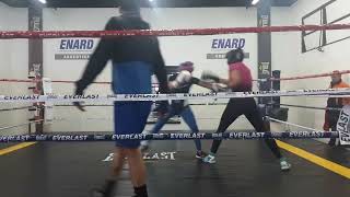 sparring Lucia Pérez vs Erica Pantera Farías boxing boxeo boxe [upl. by Eiuqcaj]