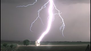 Lightning Striking Tree in 4K  Tree Catches on Fire [upl. by Kalina]