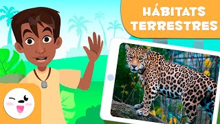 Descubre los hábitats terrestres  Tipos de hábitats para niños [upl. by Nelleeus993]