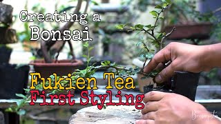 EP 14  Fukien Tea Bonsai  Carmona Retusa  First Styling [upl. by Ecirad620]