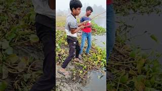 Dil Tham Lo⚡BIG FISH Fallow FOR MORE 💥 fishlover gonefishing fish🙏🙏🙏 [upl. by Enairda]