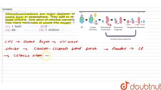 Chlorofluorocarbons are major depletor of ozone layer in stratosphere  They split to [upl. by Marlyn]