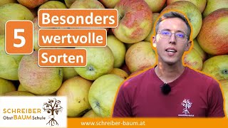 5 kostbare alte Apfelsorten  Tradition Geschichte und Geschmack der Generationen überdauert [upl. by Ialda]