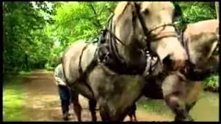 Historic Roscoe Village and the Monticello Canal Boat Ride  Coshocton Ohio [upl. by Yrovi]