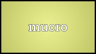 Mucro Meaning [upl. by Elrod642]