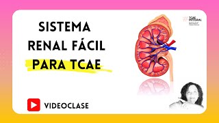 ✅ SISTEMA RENAL FÁCIL PARA TCAE 🏥 Auxiliar de Enfermería  Oposiciones y Pruebas Libres FP  PARTE 1 [upl. by Weiner768]