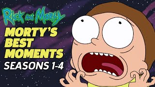 RICK AND MORTY The Mortyest Moments EVER Seasons 14 [upl. by Rtoip568]