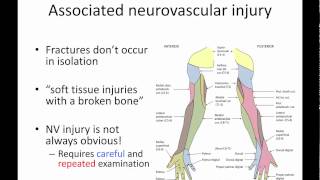 General principles of ortho trauma for PA students 4  associated injuries [upl. by Rubens]