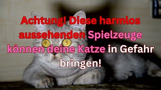 Achtung Diese harmlos aussehenden Spielzeuge können deine Katze in Gefahr bringen [upl. by Breskin]