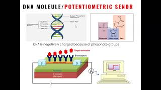 Lec 1 Introduction to Biosensors [upl. by Rabin802]