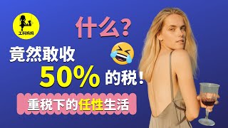 瑞典人交50的税，不心疼么？💔高税收 高福利 只关乎钱么？什么是 中道？ [upl. by Kuhn777]