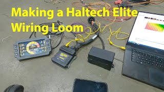 Haltech Elite Tutorial Part 8  Laying Out a Wiring Harness [upl. by Melody549]