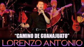 Lorenzo Antonio  quotCamino De Guanajuatoquot en vivo [upl. by Fitting44]