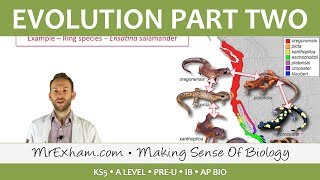 Evolution  Stress extinction and speciation  Post 16 Biology A Level PreU IB AP Bio [upl. by Esyle717]