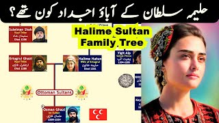 Halime Sultan Family Tree  Seljuk Wife of Ertugrul Ghazi [upl. by Melloney]