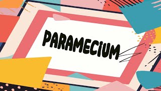 Class9biologychapter no 1diagram parameciumstructurelabelling [upl. by Harwin914]