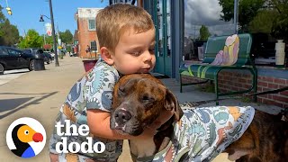 Dad Really Didnt Want To Adopt This Foster Dog  The Dodo [upl. by Yesiad]