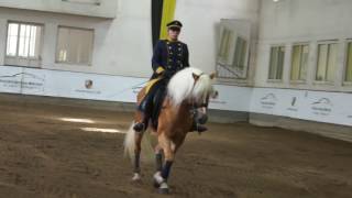 Westernreiten lernen Zu Besuch in einer WesternReitschule [upl. by Enalda]