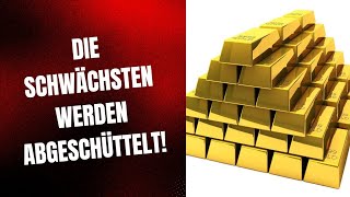 Gold Warum du nicht verkaufen solltest [upl. by Glorianna]