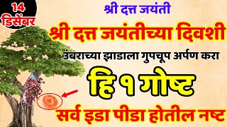 14 डिसेंबर श्री दत्त जयंतीच्या दिवशी उंबराच्या झाडाला गुपचूप अर्पण करा हि Shree Swami Samarth [upl. by Murton648]