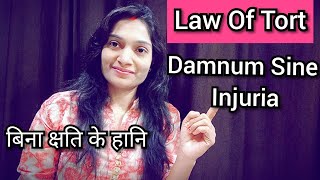 Tort Damnum sine Injuria बिना क्षति के हानि Legal Damage without Injury【Part 2】 [upl. by Assyn]