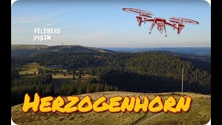 Herzogenhorn der zweithöchste im Schwarzwald [upl. by Brathwaite861]