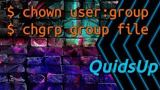 Linux Terminal Basics chown chgrp  File Ownership [upl. by Annoyik]