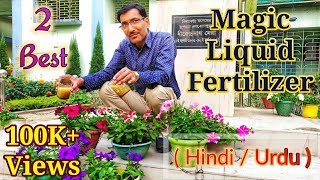 घर मे 2 बेस्ट तरल जैविक खाद कैसे तैयार करें   2 Best Liquid fertilizers [upl. by Enomyar]